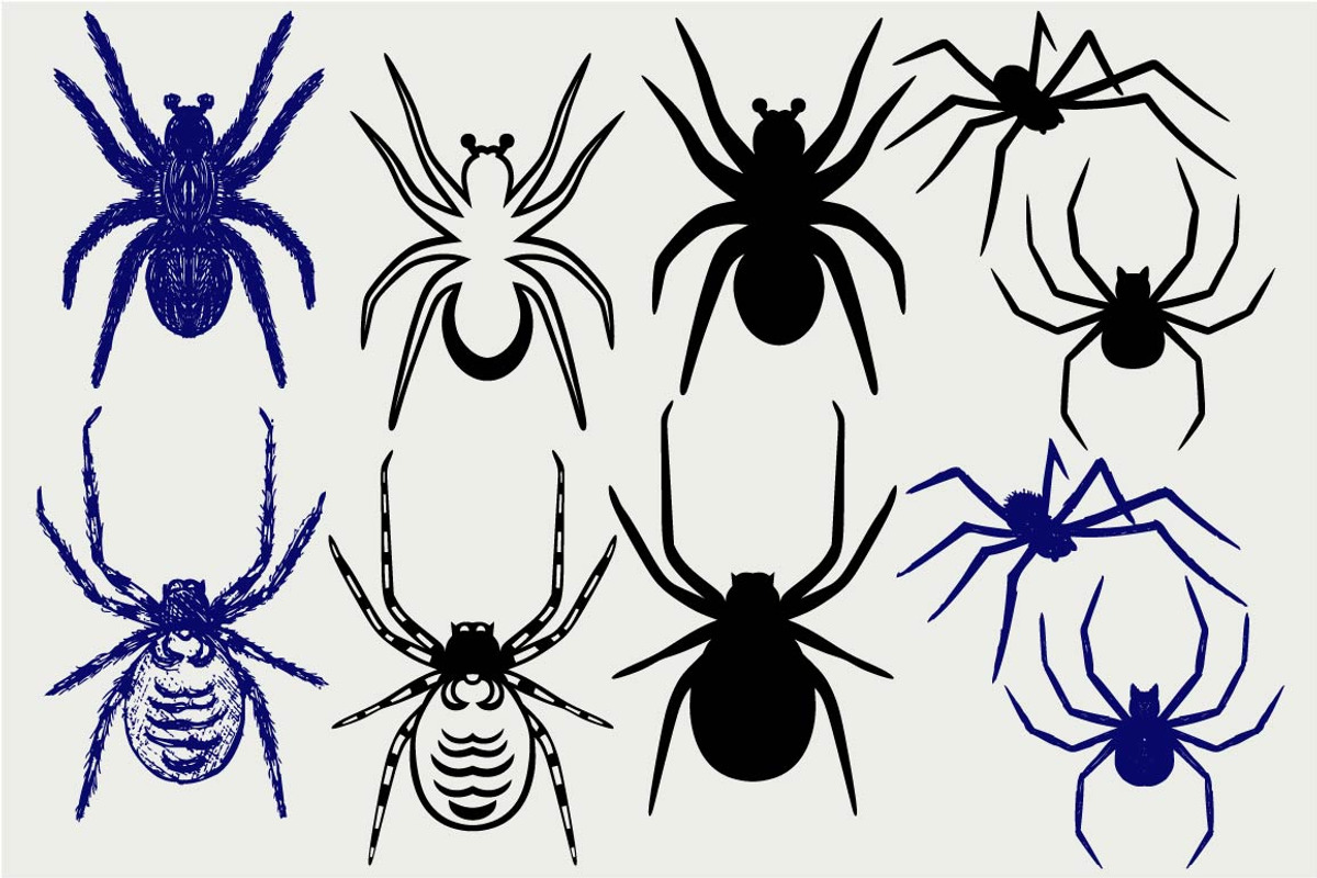 Many spiders SVG, an Outline Icon by LineworkStock