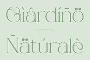 CS Sage – Art Nouveau Font, a Serif Font by Craft Supply Co. (Thumbnail 7 of 8)