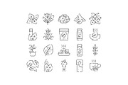 Stevia natural sweetener plant, an Object Graphic by pikepicture (Thumbnail 1 of 3)