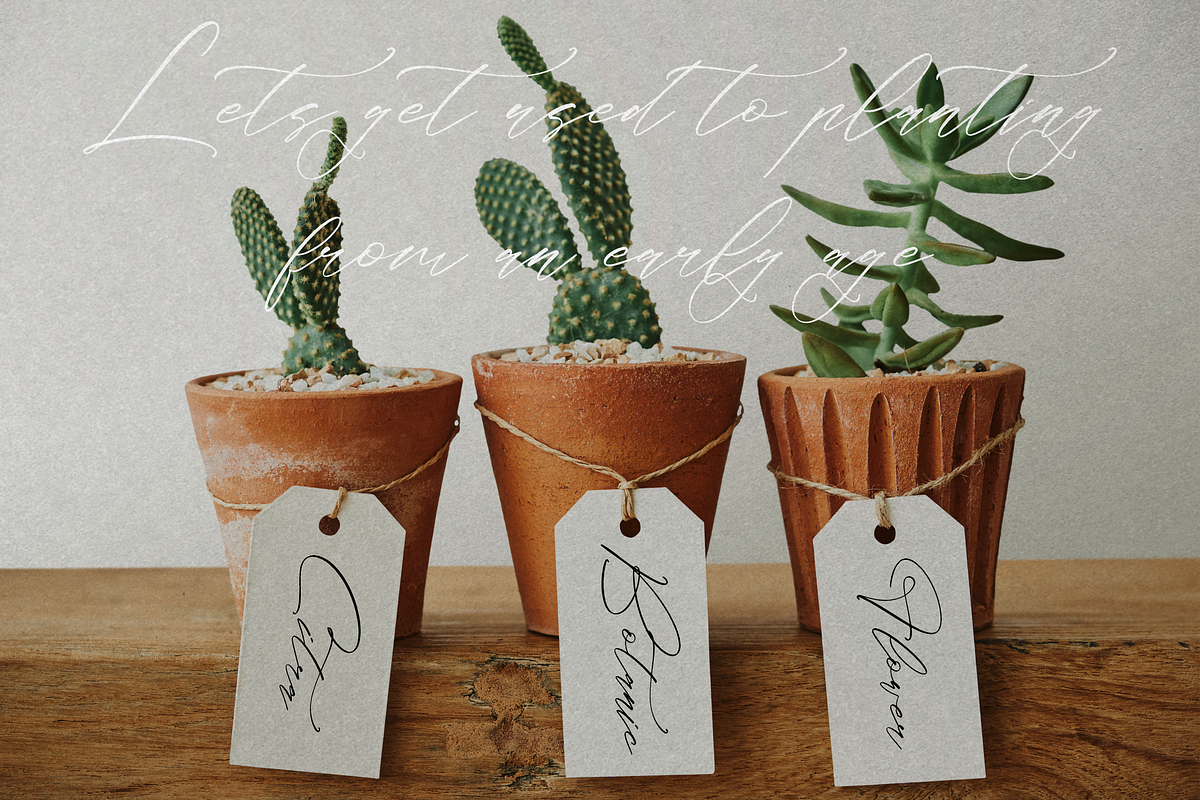 Classthy Theriond Chic Calligraphy, a Script Font by Storytype Studio (Photo 6 of 15)