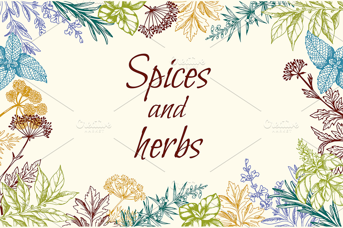 Vintage Spices and Herbs Design Kit, a Food Illustration by Artspace (Photo 6 of 8)