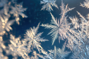 Ice Crystals on Window Glass, a Nature Photo by Virgo Studio