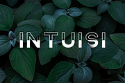 NONLOCAL Modern Sans Serif, a Sans Serif Font by DiosiArt (Thumbnail 6 of 9)