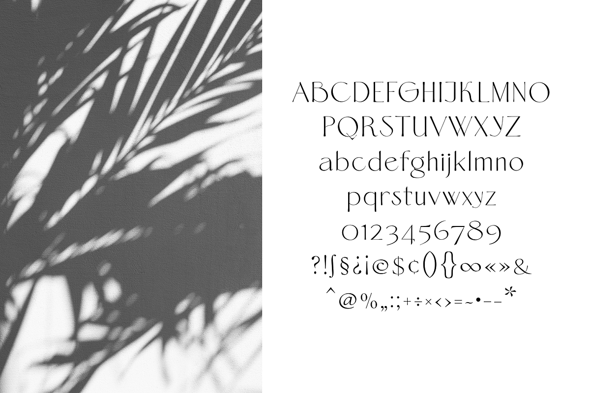 Selia Organic Font, a Handwritten Font by elvinova (Photo 7 of 7)