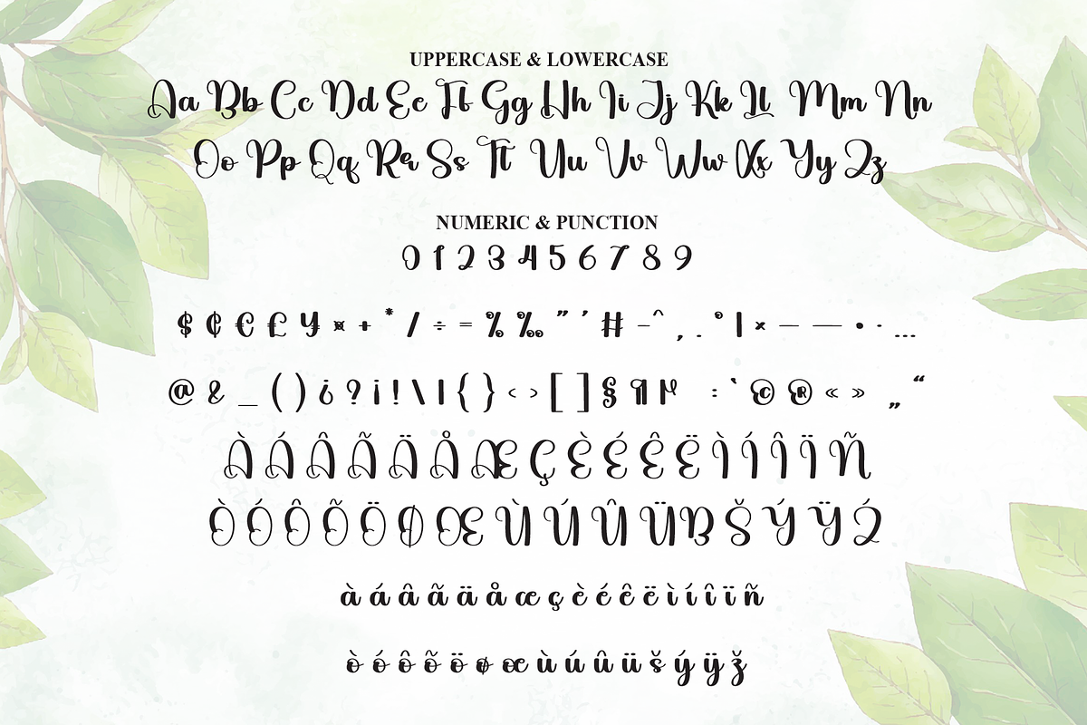 Misterday | Script Font, a Handwritten Font by Scratchones (Photo 7 of 9)