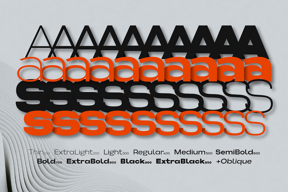 Somerun Extended Sans Family, a Sans Serif Font by Lettertype Studio (Photo 2 of 15)