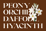 Raginy Rough, a Serif Font by Craft Supply Co. (Thumbnail 4 of 8)