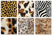 Animal Texture Seamless Pattern, a Texture Graphic by Dream Creation (Thumbnail 2 of 6)