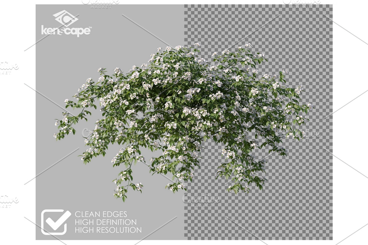 72 Assorted Flowers Photo Overlays, a Nature Photo by KenScape (Photo 2 of 3)
