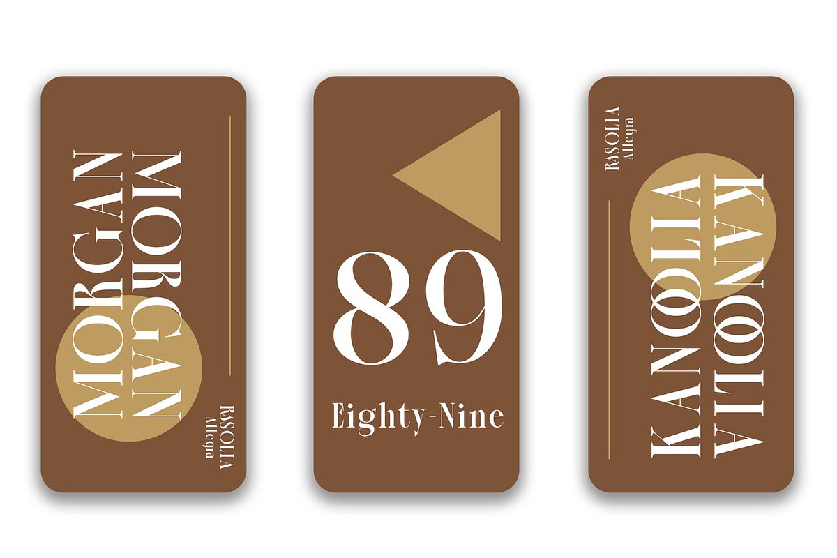 Angitra - Elegant Ligature Serif, a Serif Font by Luna Shop (Photo 6 of 11)