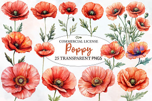 Poppy Flowers Clipart, an Illustration by Designworld