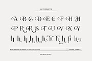 Treifany, a Serif Font by Attract Studio (Thumbnail 18 of 20)