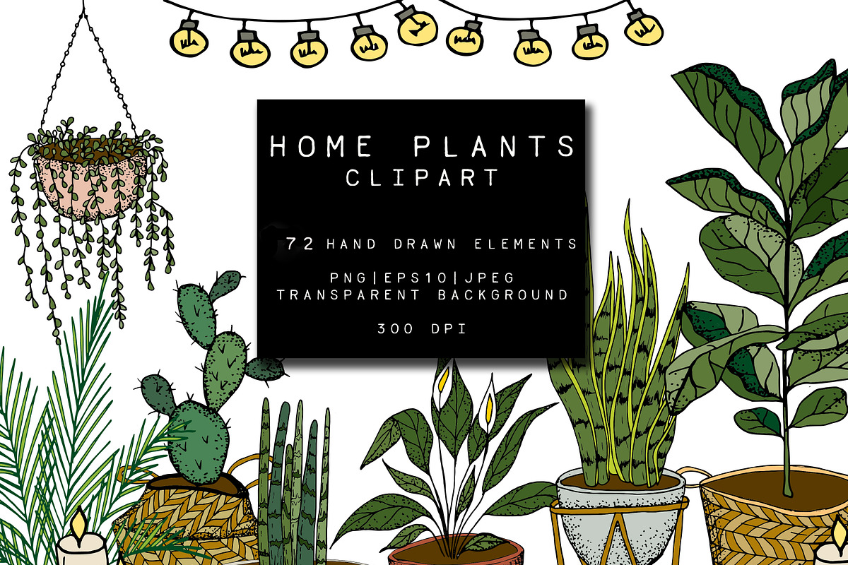 Home Plants Clipart Collection, a Graphic by Hand drawn Boutique (Photo 1 of 10)