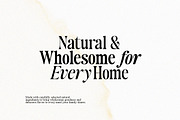 Author's Special Serif (04 fonts), a Serif Font by Positive TypeFoundry (Thumbnail 2 of 14)