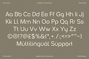 Wildborn - Logo Font, a Sans Serif Font by Umitype (Thumbnail 9 of 11)
