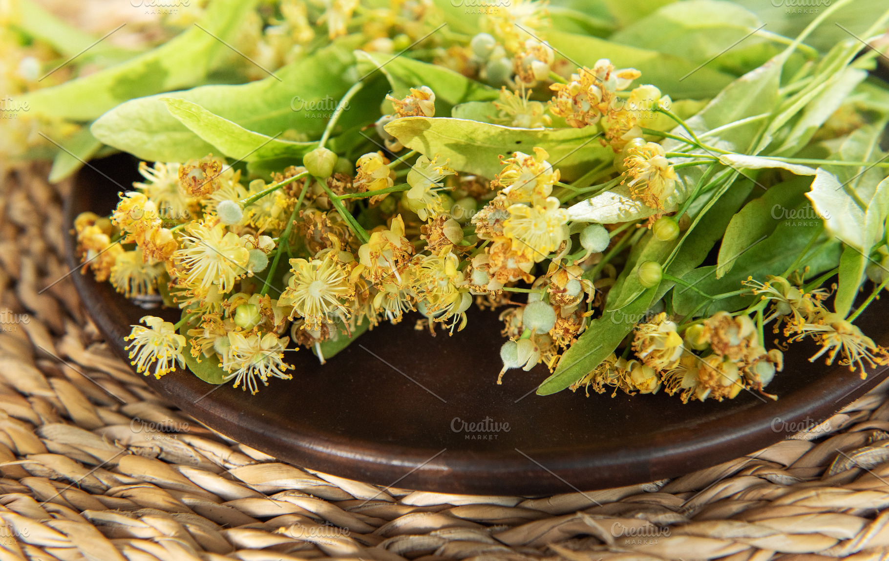 Linden tree blossoms on a dark plate preparing herbal tea, a Nature Photo by Olena Rudo