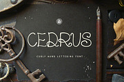 Cedrus Font, a Font by Webvilla Studio (Thumbnail 1 of 5)