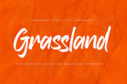 Grassland – Rough Texture Brush Font, a Handwritten Font by Gassstype (Thumbnail 1 of 10)