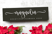 Cracker Vanilla - Cute Pretty Font, a Script Font by Airotype (Thumbnail 8 of 13)