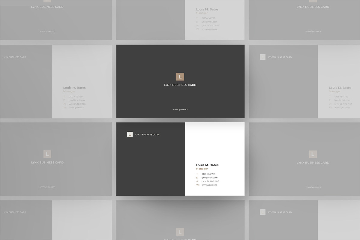 Lynx Business Card, a Business Card Template by SlideStation (Photo 3 of 5)