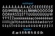 Sanstionale _ Modern Sans Family, a Font by zamjumps (Thumbnail 11 of 12)