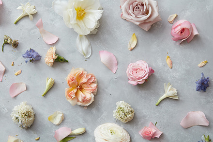 Background of flowers featuring valentine, rose, and flower, a Nature Photo by Yaroslav Danylchenko