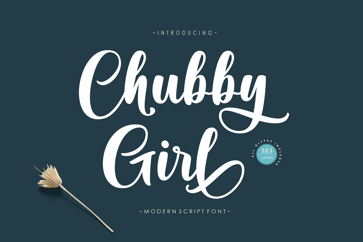 Chubby Girl Script, a Script Font by moriztype (Photo 1 of 9)