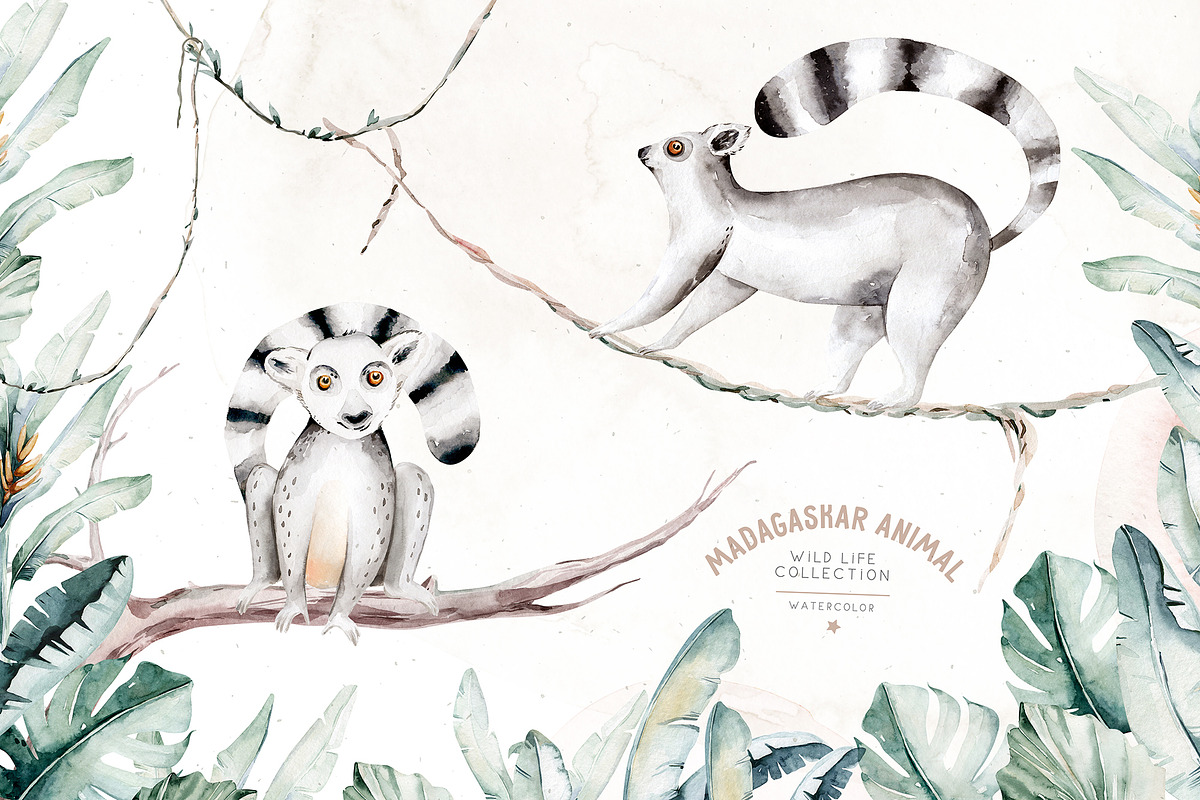 African animals watercolor set, an Animal Illustration by Peace ART (Photo 4 of 24)