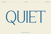 CS Arable – Elegant Serif Font, a Serif Font by Craft Supply Co. (Thumbnail 2 of 8)