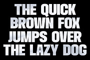 Chandler Mountain, a Sans Serif Font by Megatype (Thumbnail 6 of 13)