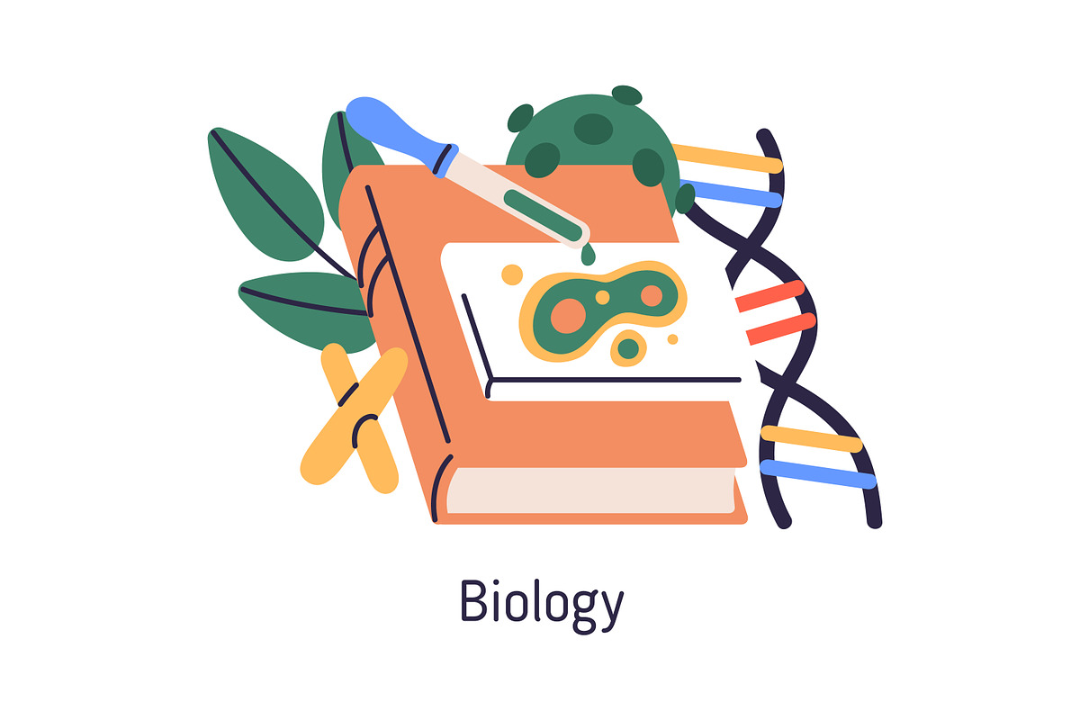 Different school subjects set, an Education Illustration by Good Studio (Photo 18 of 22)