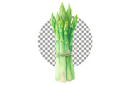 Watercolor Asparagus Clipart, a Food Illustration by crafty (Thumbnail 2 of 5)