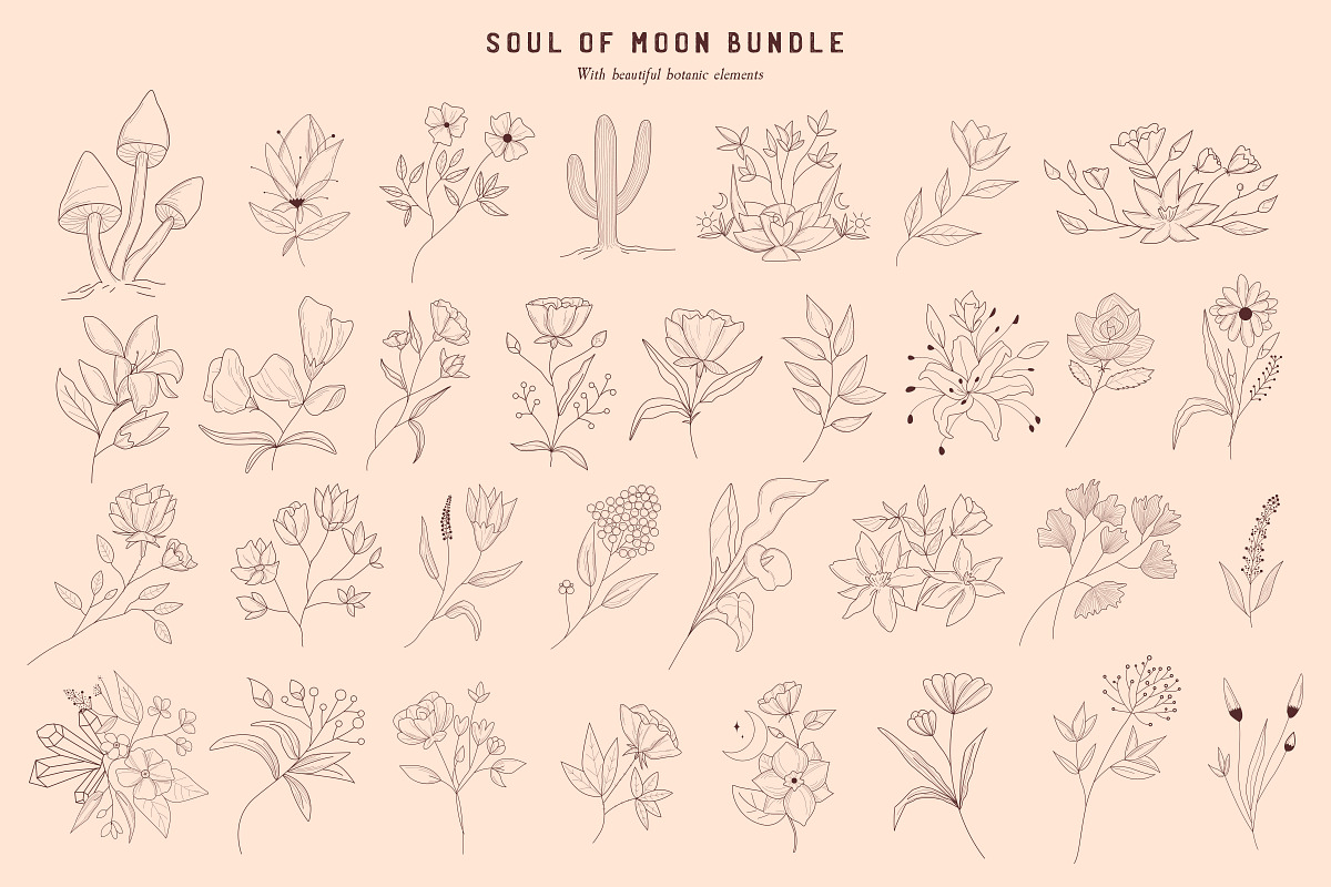 99% OFF! Bestseller Mystic Bundle, an Illustration by SNIPESCIENTIST (Photo 30 of 34)