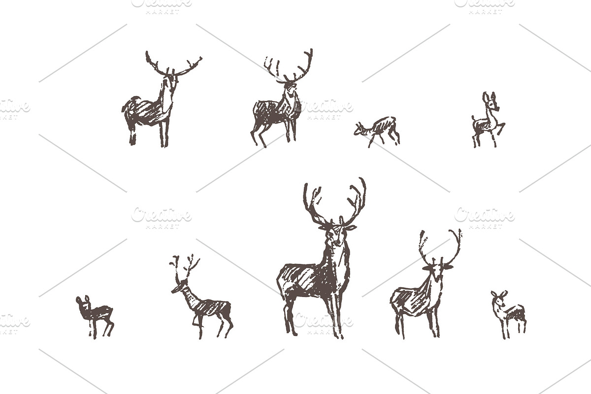 Hand drawn collection of deer, an Animal Illustration by TheMountBirdStudio (Photo 6 of 6)