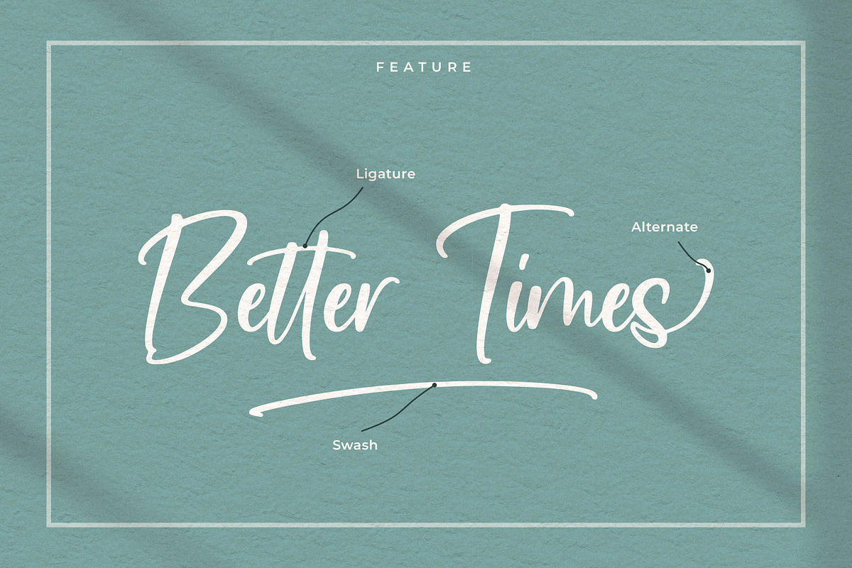Newscript, a Script Font by Integritype Studio (Photo 13 of 14)