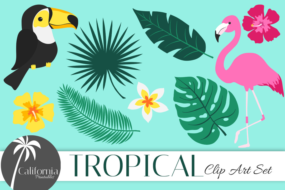 Tropical Clip Art Set, an Illustration by Nagore Rodriguez Design (Photo 1 of 2)