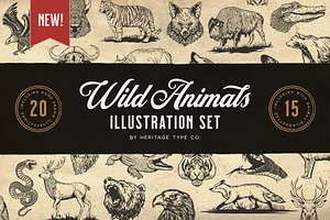 The Heritage Illustration Bundle