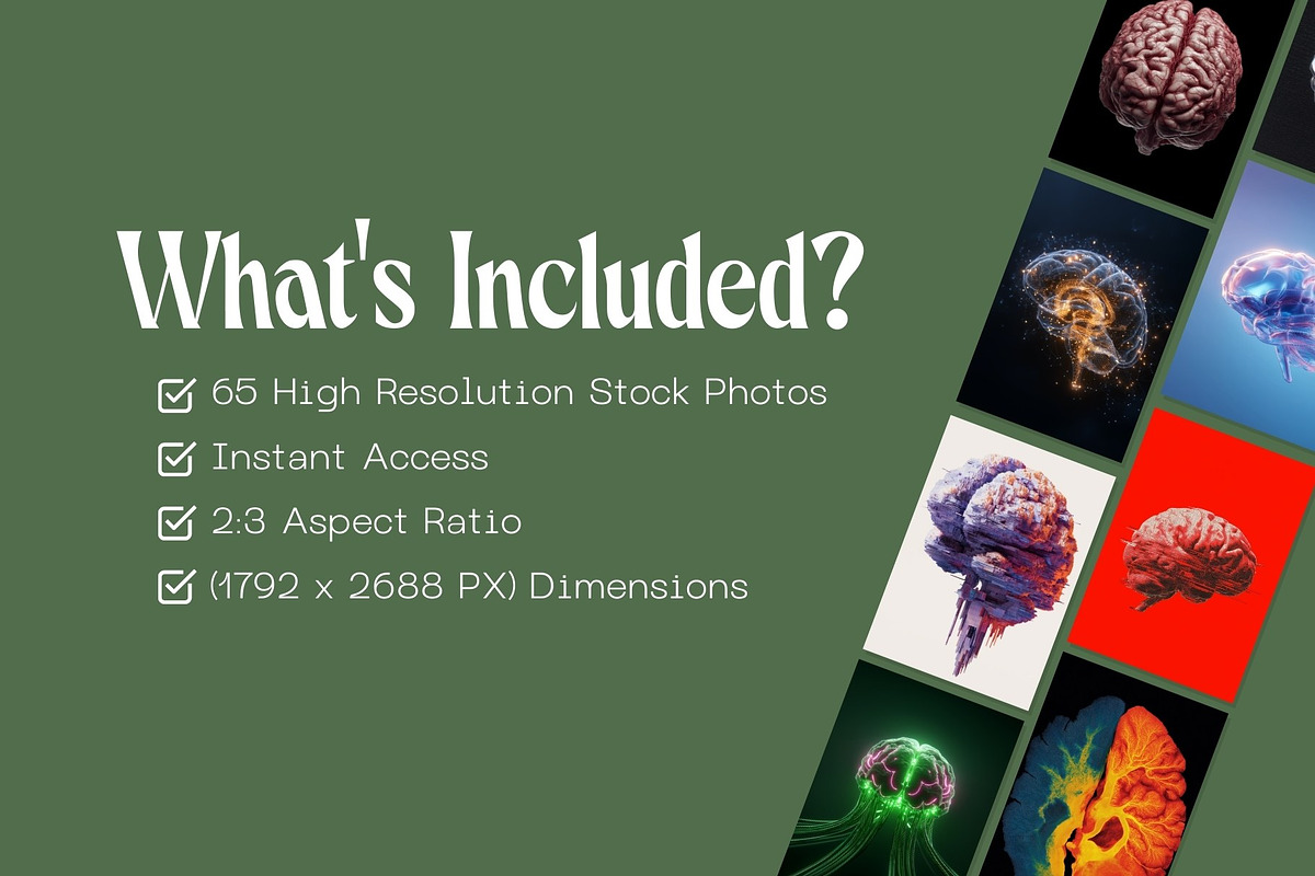 65 Human Brain Illustrations, an Object Graphic by Incomelion (Photo 4 of 7)