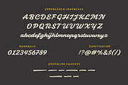 Slideback | Bold & Stylish Script, a Script Font by Glowtype (Thumbnail 15 of 15)