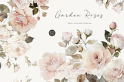 Garden Roses, a Decorative Illustration by heyiamalice (Thumbnail 1 of 10)