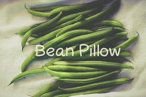 Bean Pillow