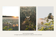 Garden Sunset | Photo Bundle, a Nature Photo by The Responsible Creatives (Thumbnail 3 of 11)