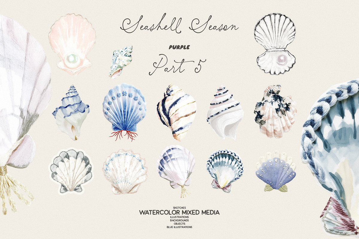 Seashell Season – Coastal Pack, an Object Graphic by Purple (Photo 11 of 12)