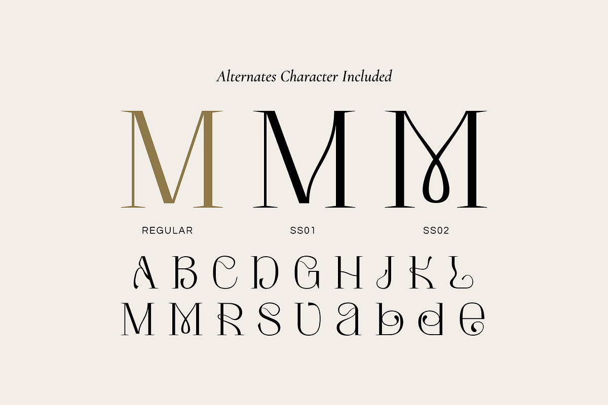 Amory Moist - Aesthetic Modern Font, a Serif Font by Fype Co. (Photo 4 of 5)