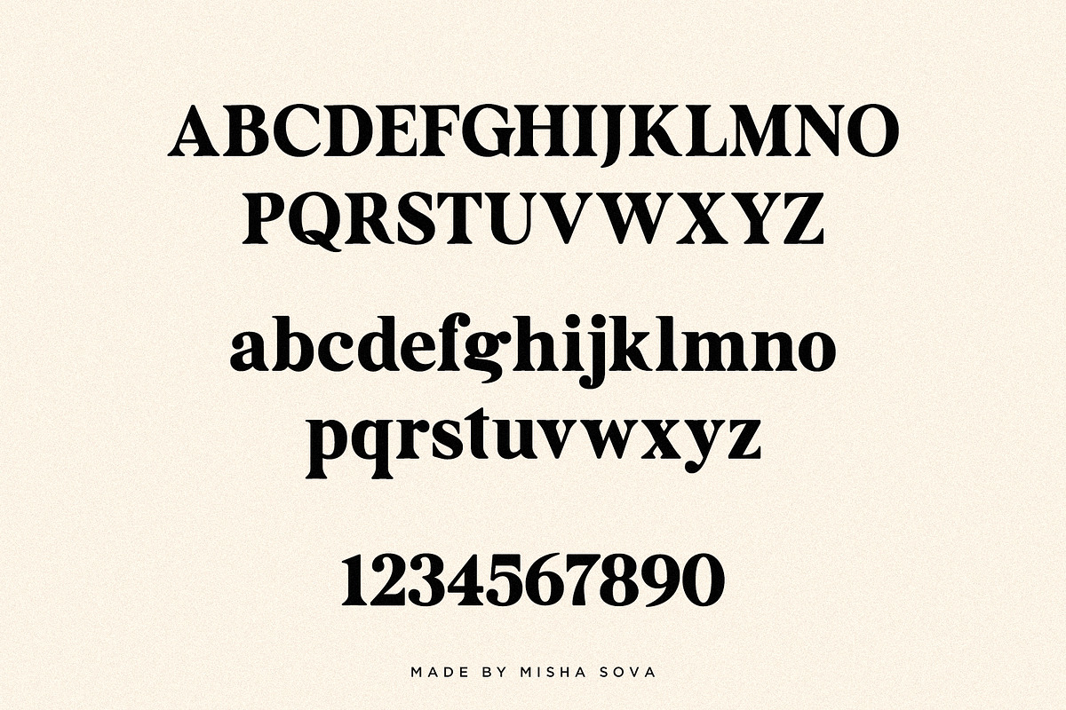FRENCH GALLERY - vintage soft serif, a Serif Font by Misha Sova (Photo 10 of 11)