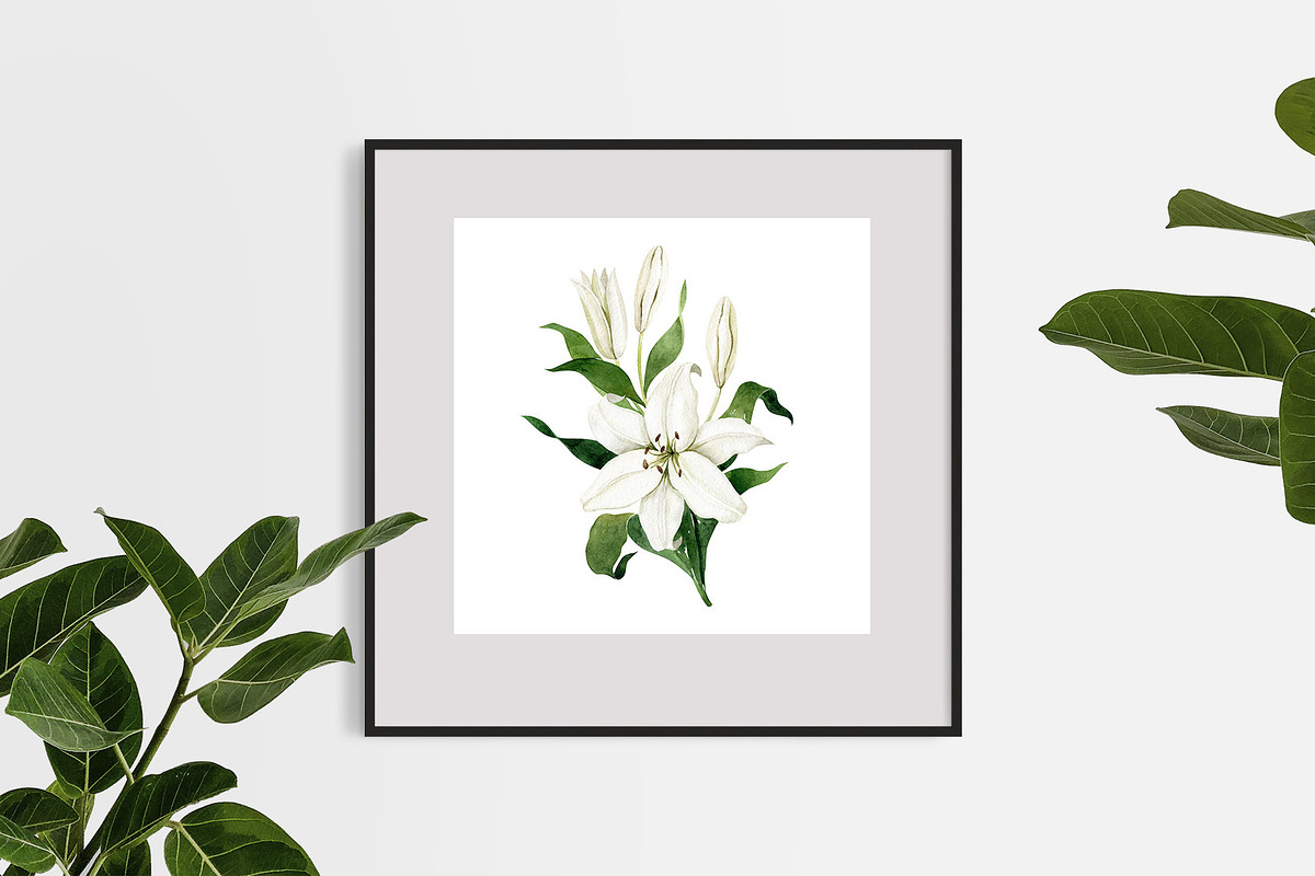 White Lilies Watercolor Set, an Illustration by Natalia Fedorova (Photo 11 of 12)