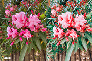 Lightroom Presets Bundle (3 for 2), a Preset Add-On by Faber Co. (Thumbnail 4 of 9)
