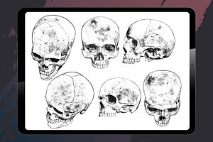 Procreate - Human Skulls Stamps