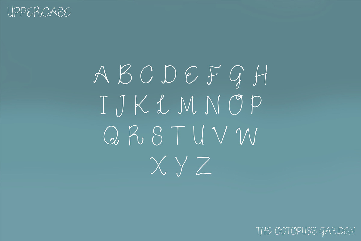 The Octopus's Garden Script preview 2