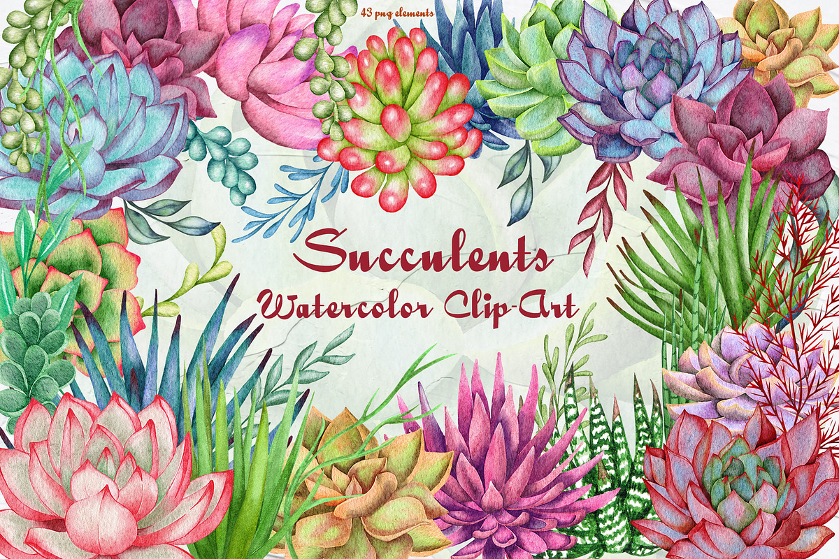 Succulents Watercolor clipart, an Illustration by BarvArt (Photo 1 of 13)